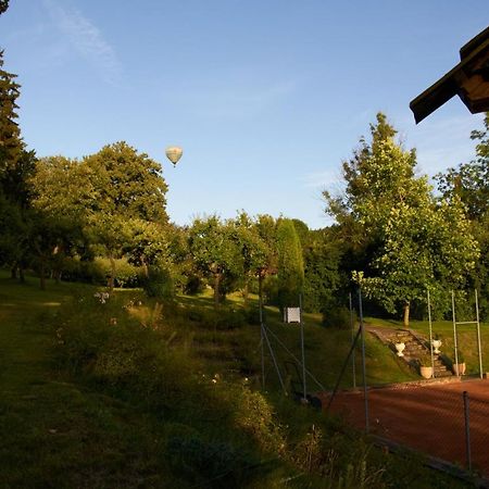 Chateau Radvanov Pension Mlada Vozice Exterior foto